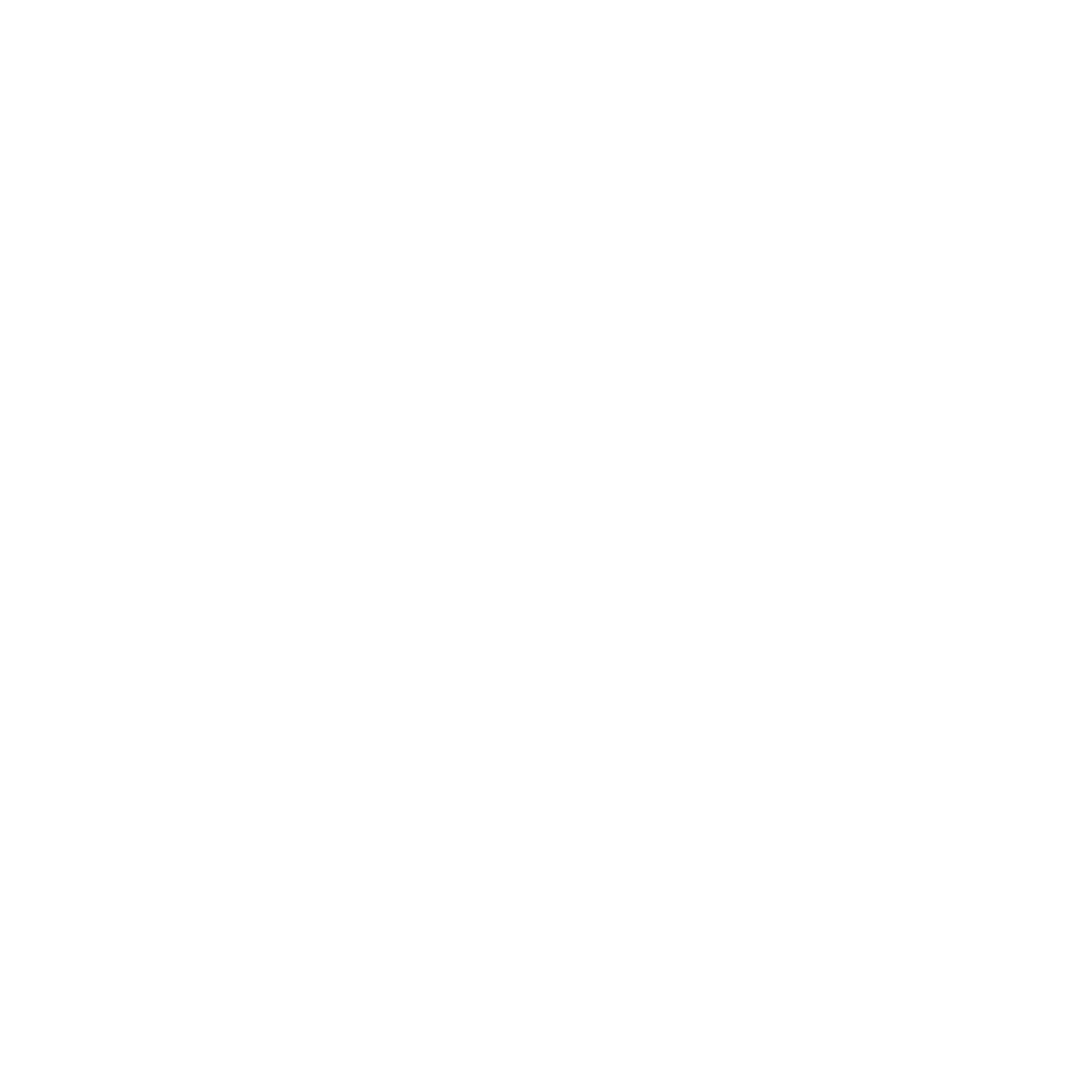 Fien Maddens Social Media Marketing